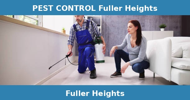 PEST CONTROL Fuller Heights